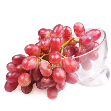 new season high quality red globe grapes